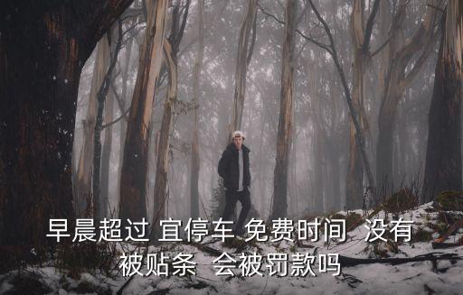早晨超過 宜停車 免費時間  沒有被貼條  會被罰款嗎