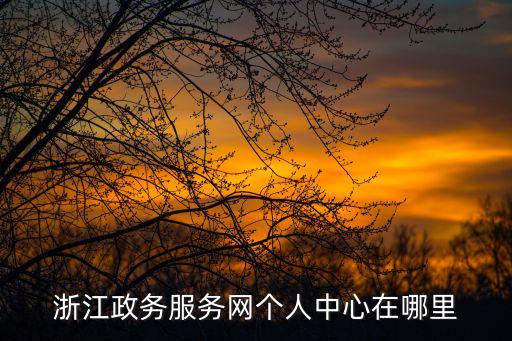 浙江政務服務網個人中心在哪里