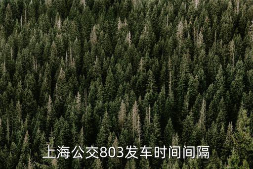 803路公交車路線時間，上海公交803發車時間間隔