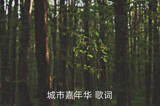 城市嘉年華 歌詞