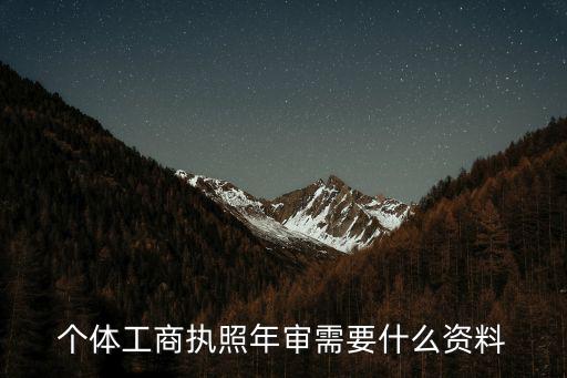 個體工商執照年審需要什么資料