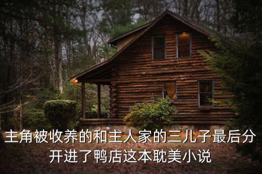 季商，主角被收養的和主人家的三兒子最后分開進了鴨店這本耽美小說