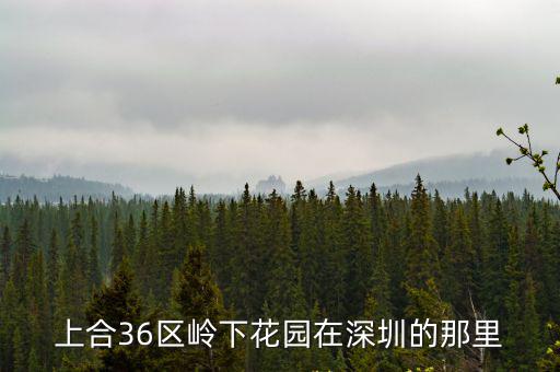 上合36區嶺下花園在深圳的那里