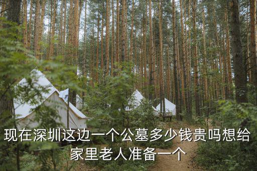 深圳陵園，網上陵園是何意怎么使用網上陵園網上陵園收費如何