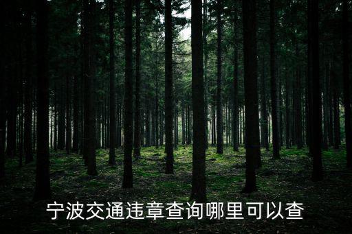 寧波交通違章查詢哪里可以查