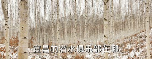 宜昌的潛水俱樂(lè)部在哪