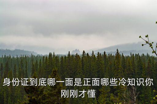 身份證到底哪一面是正面哪些冷知識你剛剛才懂