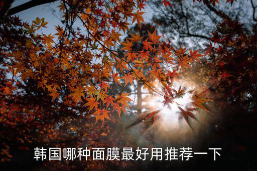 韓國哪種面膜最好用推薦一下