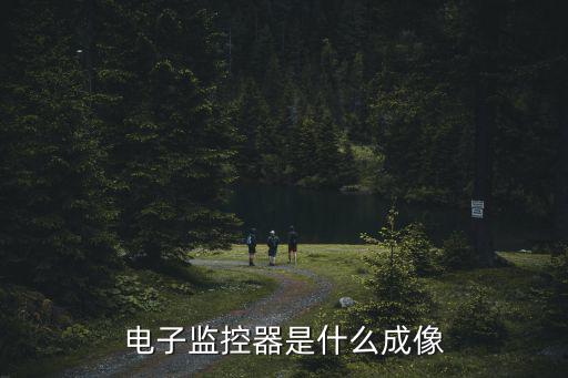 電子監(jiān)控器是什么成像