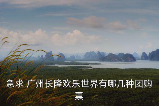 急求 廣州長隆歡樂世界有哪幾種團購票