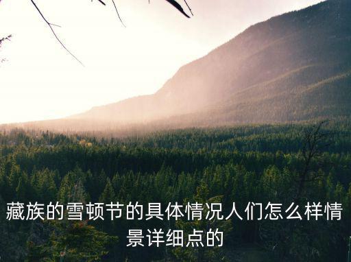 藏族的雪頓節的具體情況人們怎么樣情景詳細點的