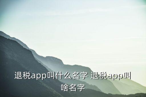 退稅app叫什么名字 退稅app叫啥名字