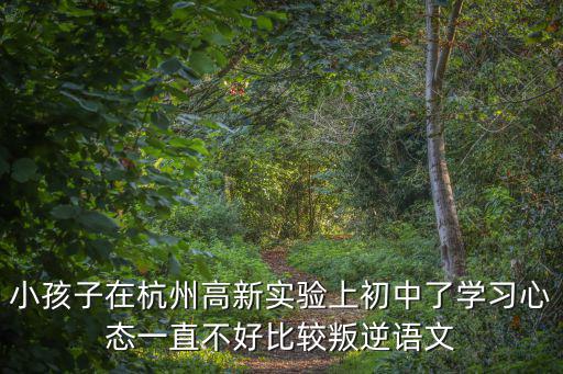 小孩子在杭州高新實驗上初中了學習心態一直不好比較叛逆語文
