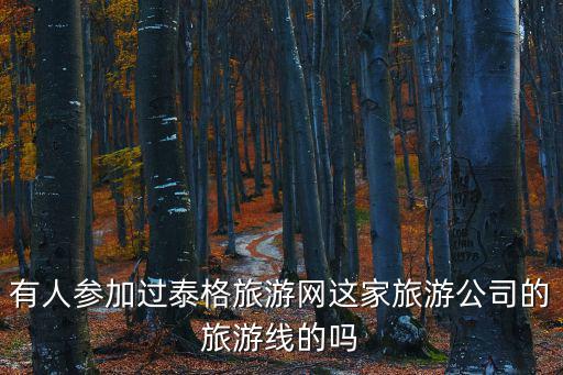 有人參加過泰格旅游網這家旅游公司的旅游線的嗎