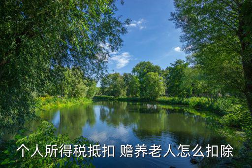 個(gè)人所得稅抵扣 贍養(yǎng)老人怎么扣除