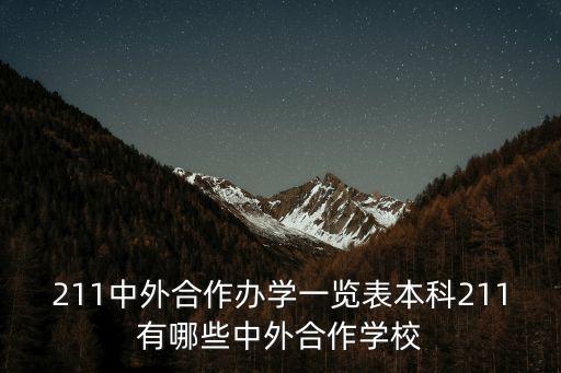 211中外合作辦學一覽表本科211有哪些中外合作學校