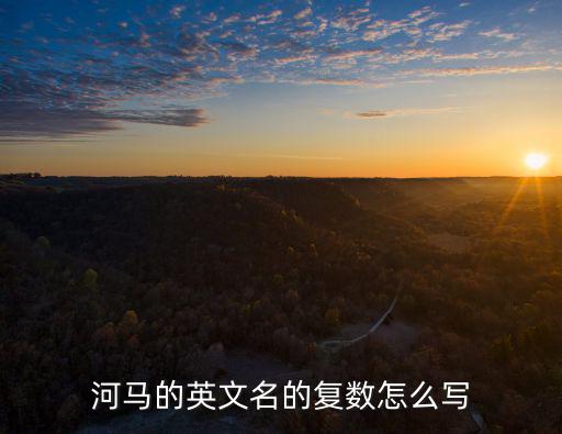 河馬的英文名的復(fù)數(shù)怎么寫