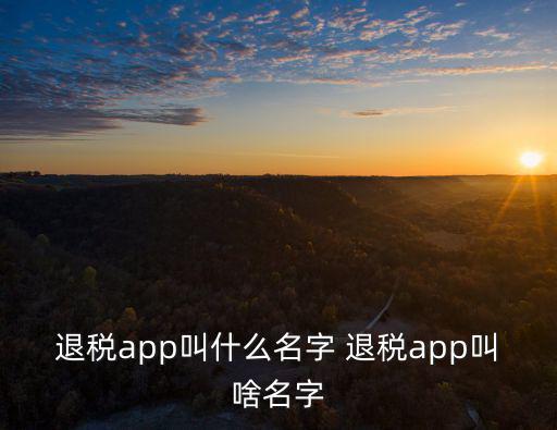 退稅app，江蘇省出口退稅應該使用什么軟件揚州地區在哪個網站下載申報