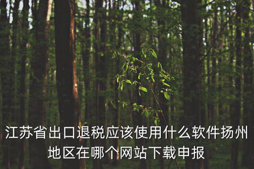 江蘇省出口退稅應該使用什么軟件揚州地區在哪個網站下載申報