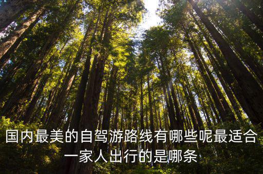 國內最美的自駕游路線有哪些呢最適合一家人出行的是哪條