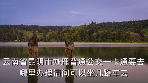 云南省昆明市辦理普通公交一卡通要去哪里辦理請問可以坐幾路車去