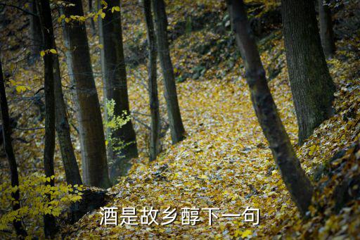 酒是故鄉醇下一句