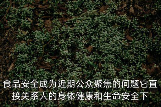 食品安全成為近期公眾聚焦的問題它直接關系人的身體健康和生命安全下