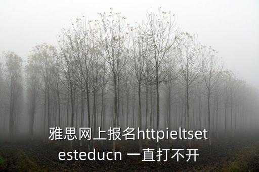 雅思網上報名httpieltsetesteducn 一直打不開