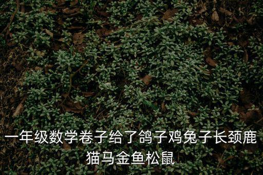 一年級數學卷子給了鴿子雞兔子長頸鹿貓馬金魚松鼠