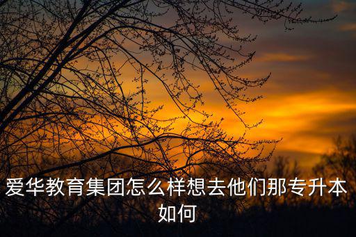 愛華教育集團怎么樣想去他們那專升本如何