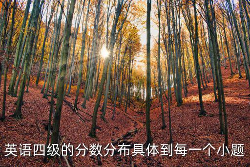 英語四級的分?jǐn)?shù)分布具體到每一個(gè)小題