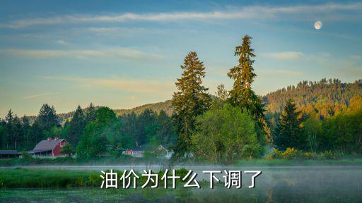 油價(jià)為什么下調(diào)了