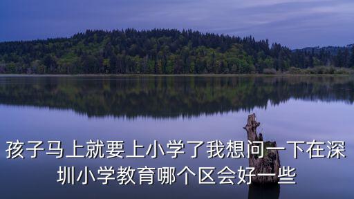 孩子馬上就要上小學(xué)了我想問一下在深圳小學(xué)教育哪個區(qū)會好一些