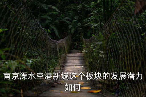 南京溧水空港新城這個板塊的發展潛力如何