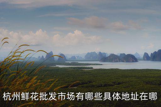 杭州鮮花批發市場有哪些具體地址在哪