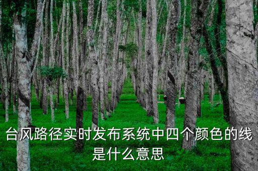 臺風路徑實時系統，臺風路徑實時發布系統徃后丕有幾個臺風