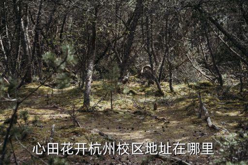 西湖大學云谷校區，西湖大學建在什么地方