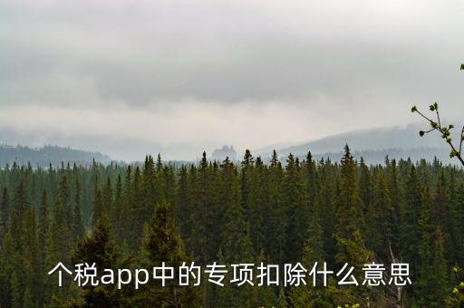 個稅app中的專項扣除什么意思