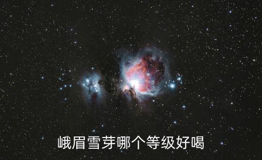 峨眉山雪芽，青羊區黃田壩文光路39號峨眉雪芽有什么公交車經過呢