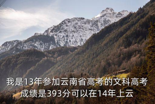 我是13年參加云南省高考的文科高考成績是393分可以在14年上云