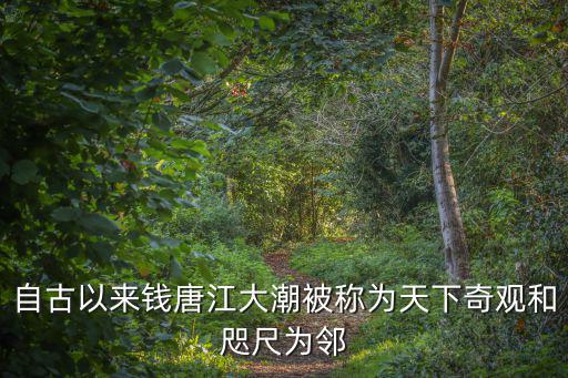 自古以來錢唐江大潮被稱為天下奇觀和咫尺為鄰