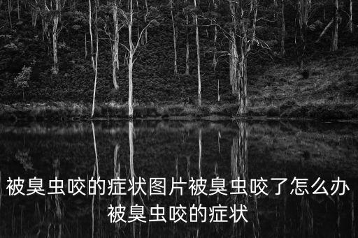被臭蟲咬的癥狀圖片被臭蟲咬了怎么辦被臭蟲咬的癥狀