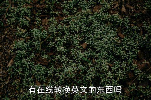 有在線轉(zhuǎn)換英文的東西嗎
