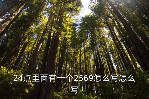 24點里面有一個2569怎么寫怎么寫