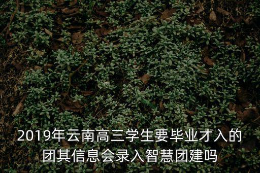 智慧團建app，2019年云南高三學生要畢業才入的團其信息會錄入智慧團建嗎