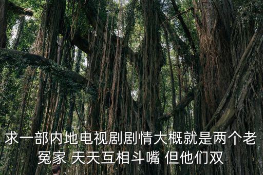求一部?jī)?nèi)地電視劇劇情大概就是兩個(gè)老冤家 天天互相斗嘴 但他們雙