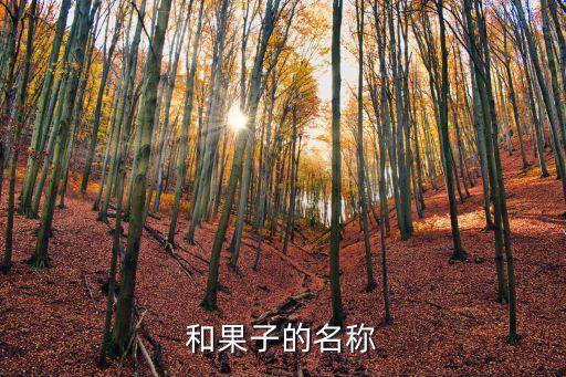 和果子的名稱