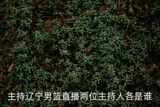 直播cba，主持遼寧男籃直播兩位主持人各是誰