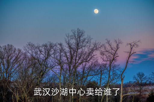 武漢沙湖中心賣給誰了