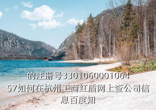 的注冊號330106000106457如何在杭州工商紅盾網上查公司信息百度知